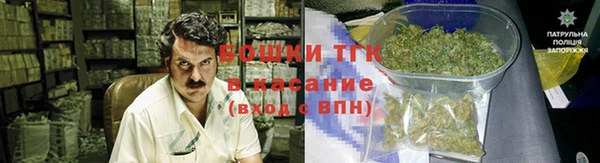 ECSTASY Алзамай