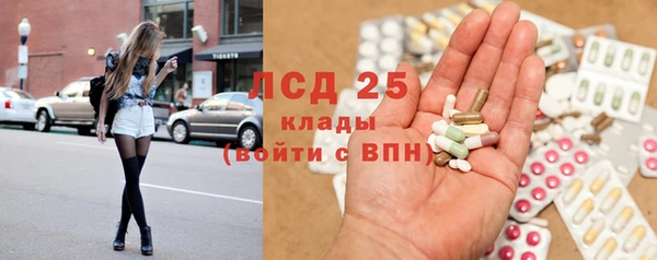 ECSTASY Алзамай