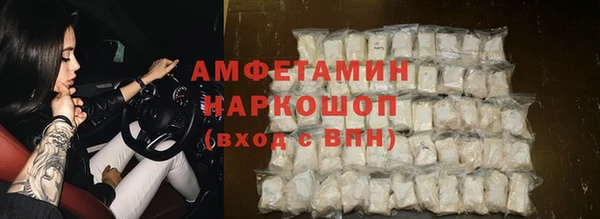 ECSTASY Алзамай