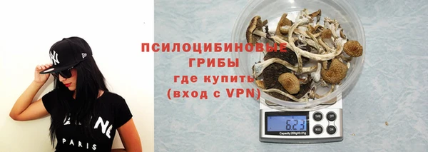 прущий лед Алексеевка